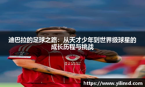 星空xk体育官网