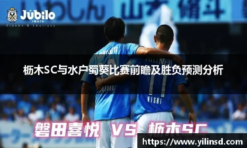 星空xk体育官网