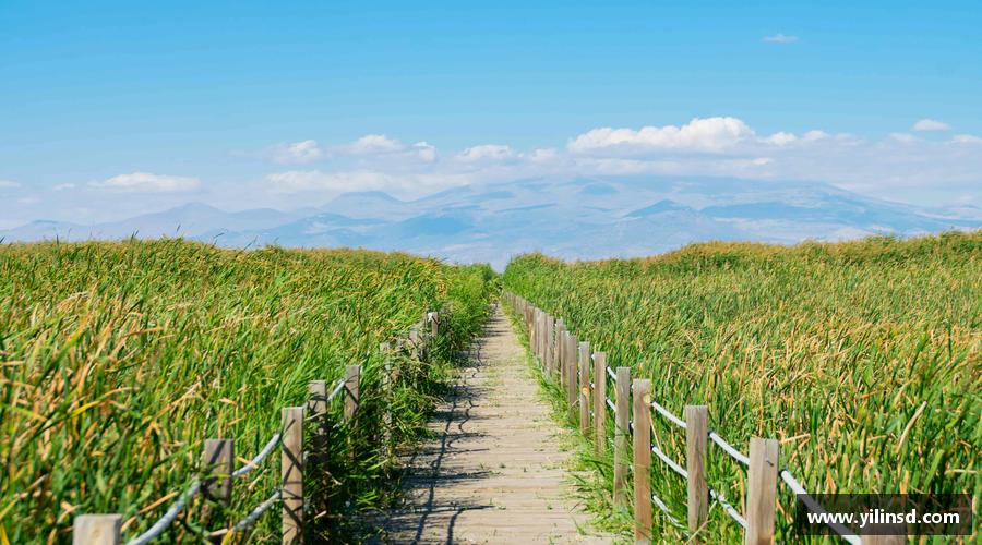 星空xk体育平台奋勇向前，梦想无限